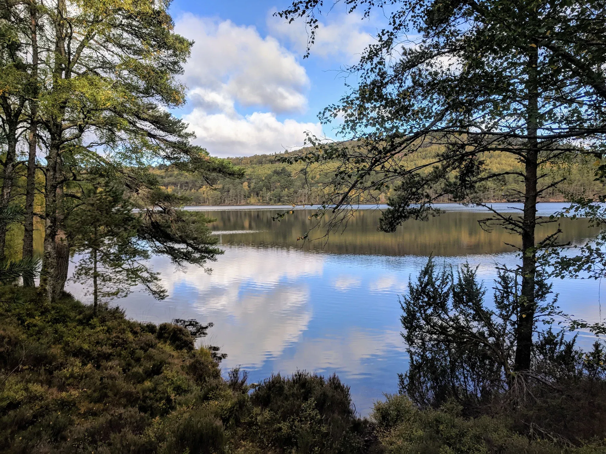 A still loch in the Cairngorms framed by Scots pine and autumnal trees