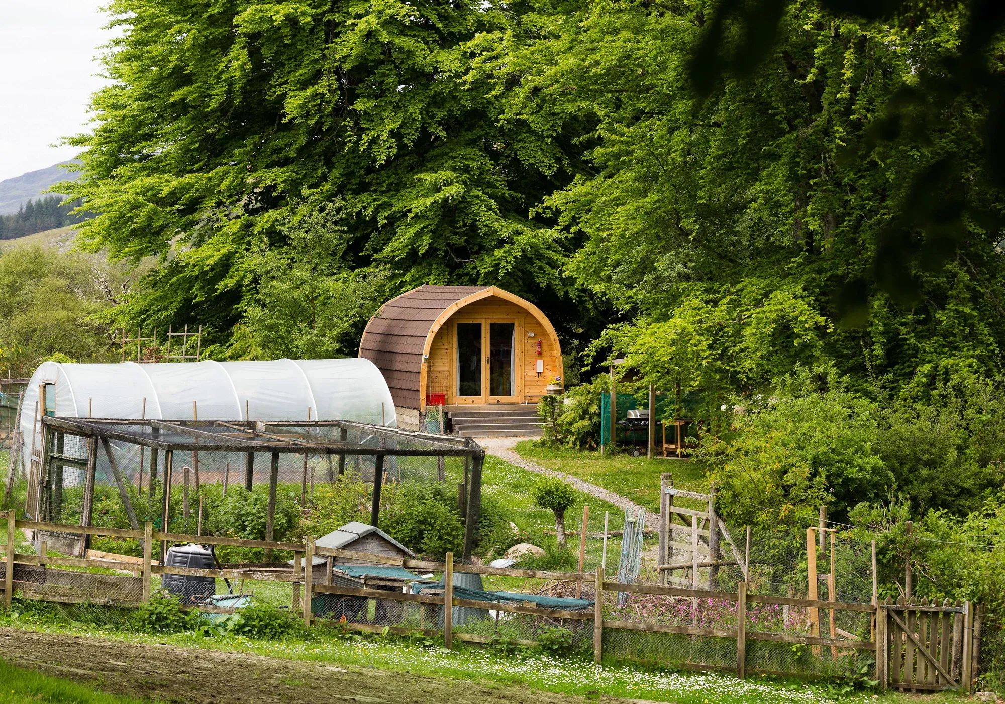 Cosy Coorie Pod exterior — the timber pod among beech trees in daylight